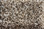 Dream Weaver Carpet Jackson Hole II 7560  637 Pebble