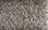 Dream Weaver Carpet Jackson Hole II 7560 108 Sierra Lace