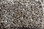 Dream Weaver Carpet Jackson Hole II 7560 916 Bay Dunes