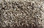 Dream Weaver Carpet Jackson Hole II 7560 107 Deep Thistle