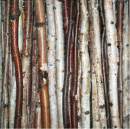 Birch Stick Packs