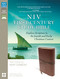 NIV First-Century Study Bible Leathersoft Brown