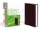 NIV Giant Print Compact Bible