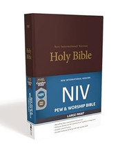 NIV Church Bible