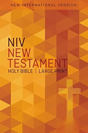NIV Outreach New Testament Large Print