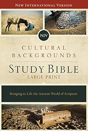 NIV Cultural Backgrounds Study Bible Large Print Red Letter