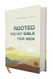 Rooted: The NIV Bible for Men  Cream Comfort Print
