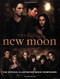 The Twilight Saga