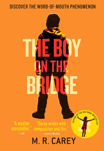 Boy on the Bridge