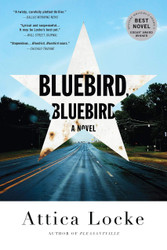 Bluebird Bluebird