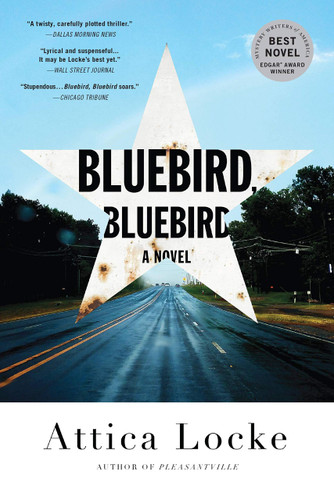 Bluebird Bluebird
