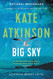 Big Sky (Jackson Brodie 5)