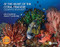 At the Heart of the Coral Triangle