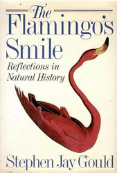 The Flamingo's Smile