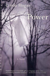 Power: A Novel (Norton  Fiction)