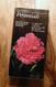 Taylor's Guide To Perennials