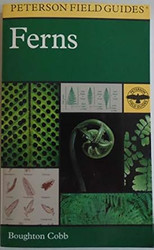 A Field Guide to Ferns