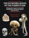The Incredible Bones of the Narrenturm