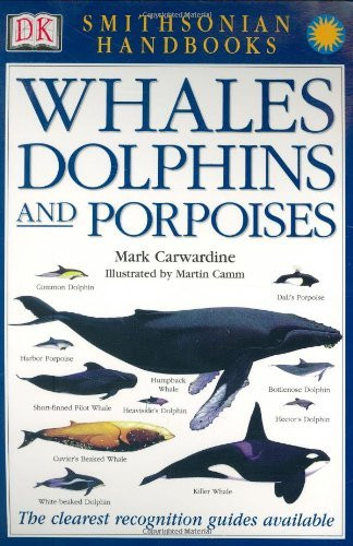 Whales Dolphins And Porpoises