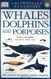 Whales Dolphins And Porpoises