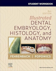 Student Workbook for Illustrated Dental Embryology