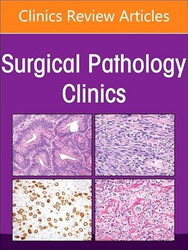 Soft Tissue Pathology An Issue of Surgical Pathology Clinics