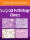 Soft Tissue Pathology An Issue of Surgical Pathology Clinics