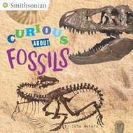 Curious About Fossils