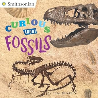 Curious About Fossils
