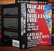 Bright Air Brilliant Fire