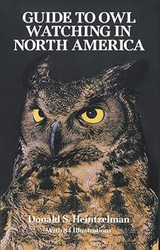 Guide to Owl Watching in North America