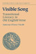 Visible Song