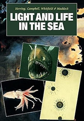 Light and Life in the Sea