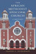 The African Methodist Episcopal Church