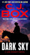 Dark Sky (A Joe Pickett Novel)