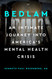 Bedlam: An Intimate Journey Into America's Mental Health Crisis