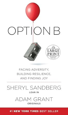 Option B: Facing Adversity Building Resilience and Finding Joy
