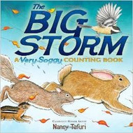 The Big Storm