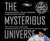 Mysterious Universe: Supernovae Dark Energy and Black Holes