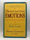 Destructive Emotions