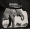 Wildlife Photographer of the Year