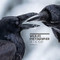 Wildlife Photographer of the Year