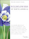 National Audubon Society Wildflowers of North America