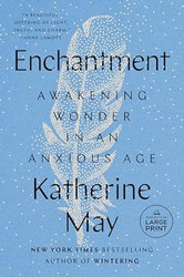 Enchantment: Awakening Wonder in an Anxious Age