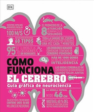 C?mo funciona el cerebro