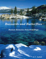 Buzzards and Butterflies