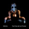 Mishka: The Fine Art of Fetish
