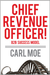 Chief Revenue Officer! / B2B Succcess Model