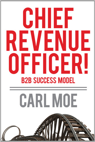 Chief Revenue Officer! / B2B Succcess Model