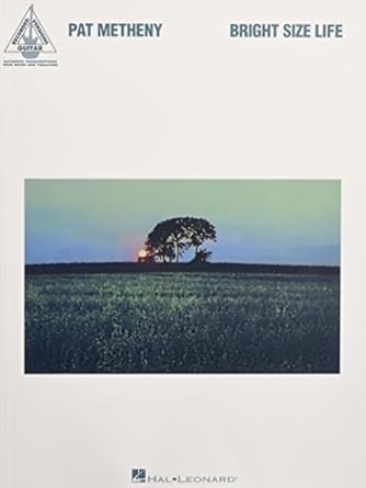 Pat Metheny - Bright Size Life
